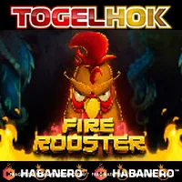 Fire Rooster